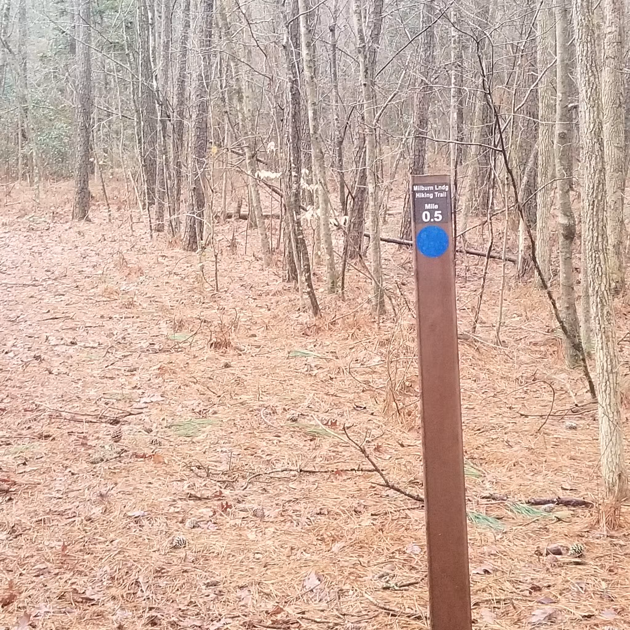 Algonquin Cross County Trail (Trailhead) - Pocomoke City, MD
