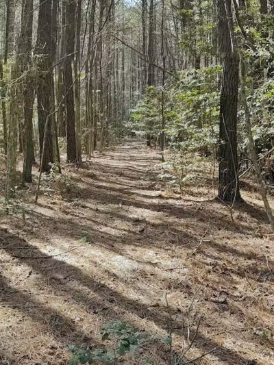 Hickory Point Natural Area - Pocomoke City, MD