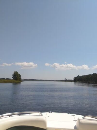 Hickory Point Natural Area - Pocomoke City, MD