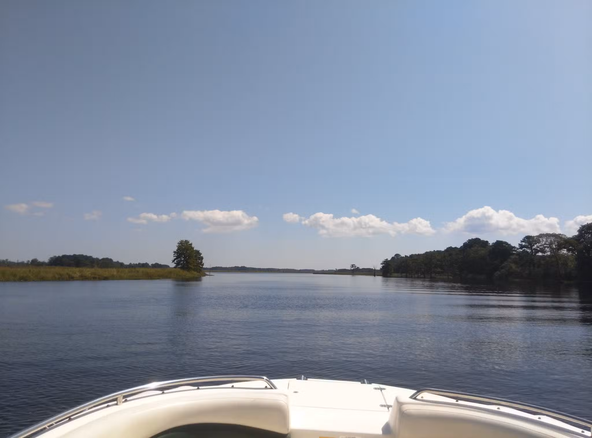 Hickory Point Natural Area - Pocomoke City, MD