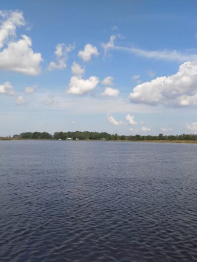 Hickory Point Natural Area - Pocomoke City, MD