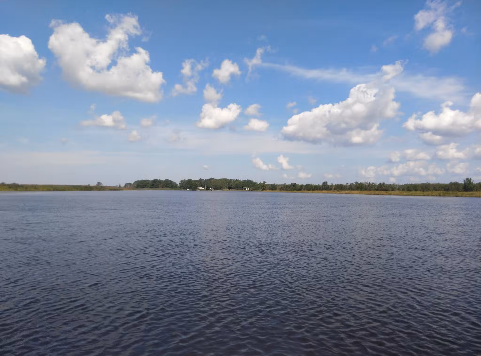Hickory Point Natural Area - Pocomoke City, MD