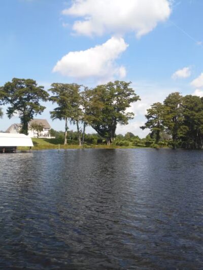 Hickory Point Natural Area - Pocomoke City, MD