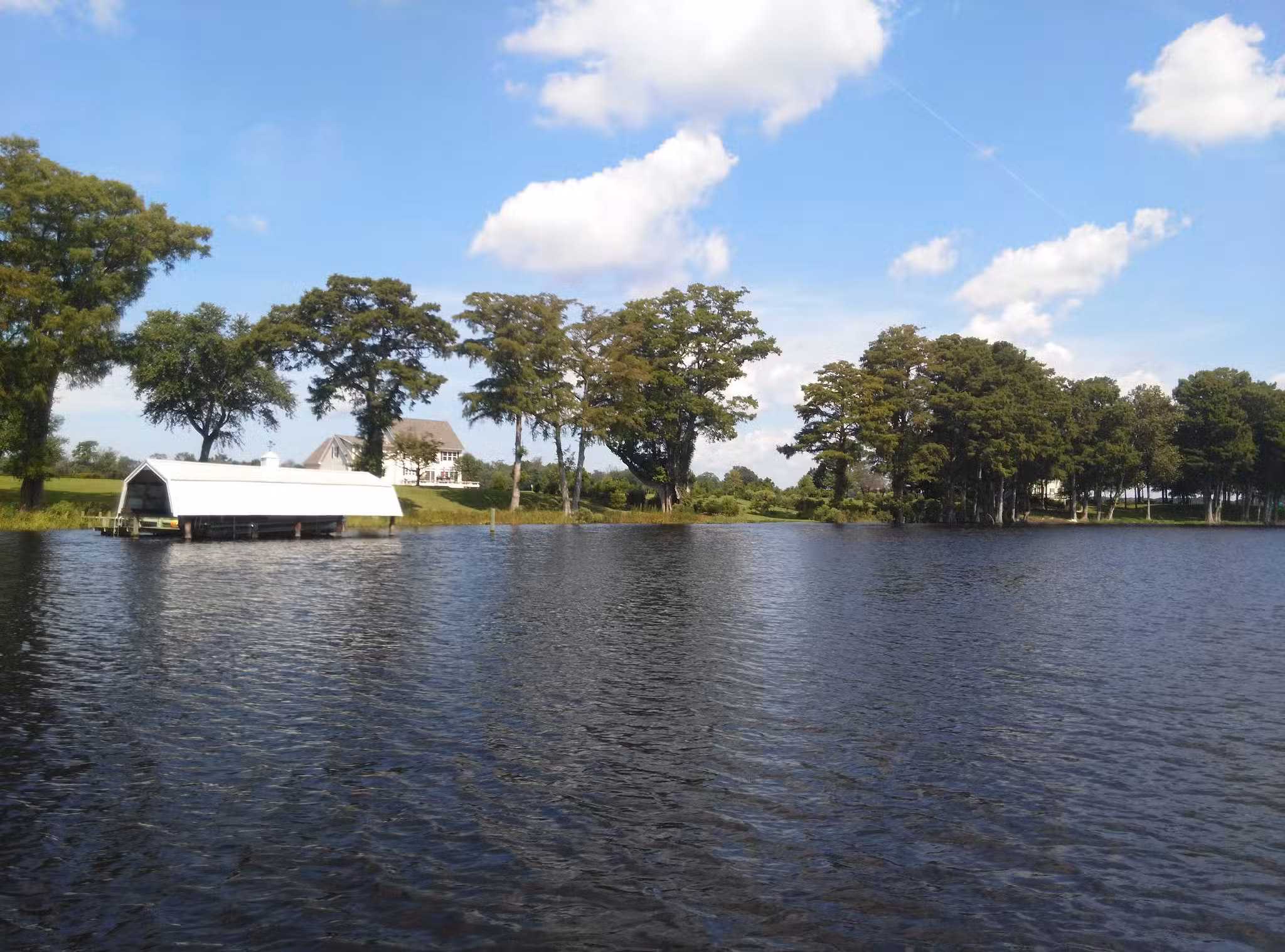 Hickory Point Natural Area - Pocomoke City, MD