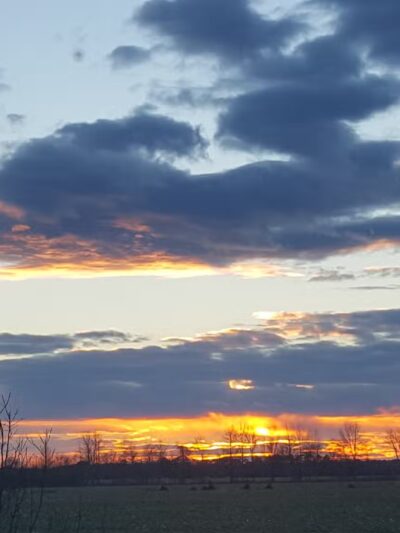 Hickory Point Natural Area - Pocomoke City, MD