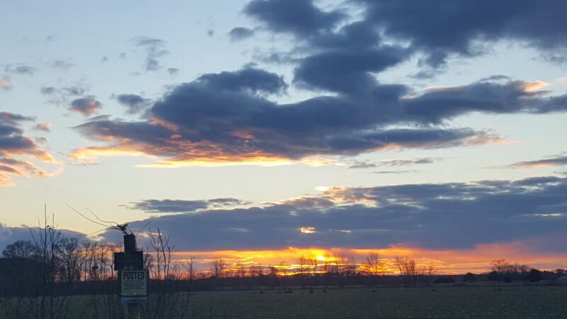 Hickory Point Natural Area - Pocomoke City, MD