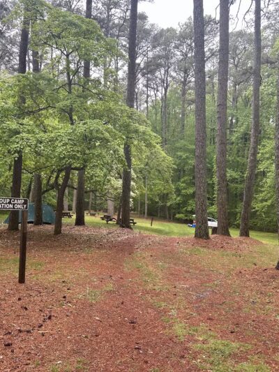 Pocomoke River State Park: Milburn Landing - Pocomoke City, MD