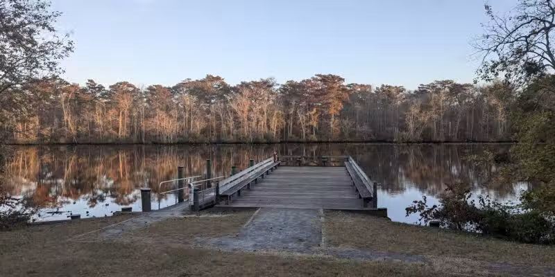 Pocomoke River State Park: Milburn Landing - Pocomoke City, MD