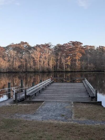 Pocomoke River State Park: Milburn Landing - Pocomoke City, MD