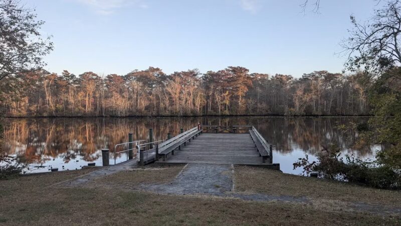 Pocomoke River State Park: Milburn Landing - Pocomoke City, MD
