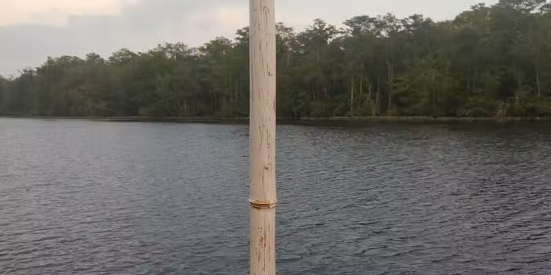 Pocomoke River State Park: Milburn Landing - Pocomoke City, MD