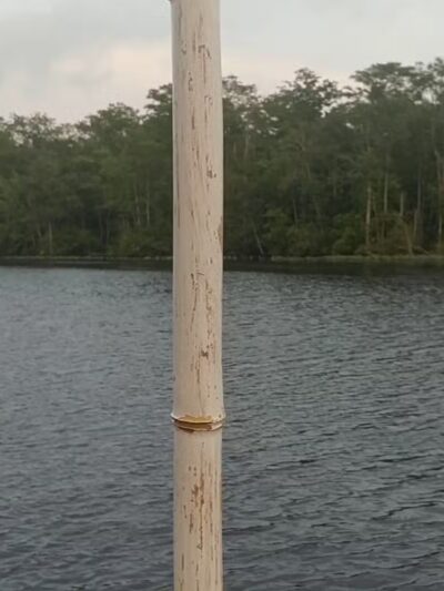 Pocomoke River State Park: Milburn Landing - Pocomoke City, MD