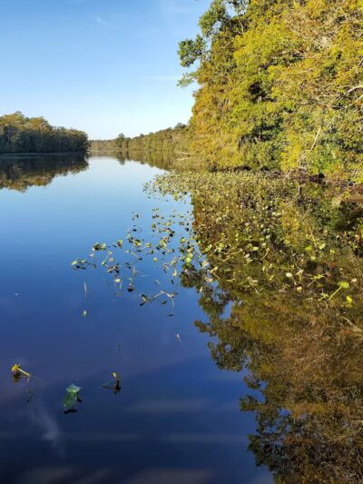 Pocomoke River State Park: Milburn Landing - Pocomoke City, MD