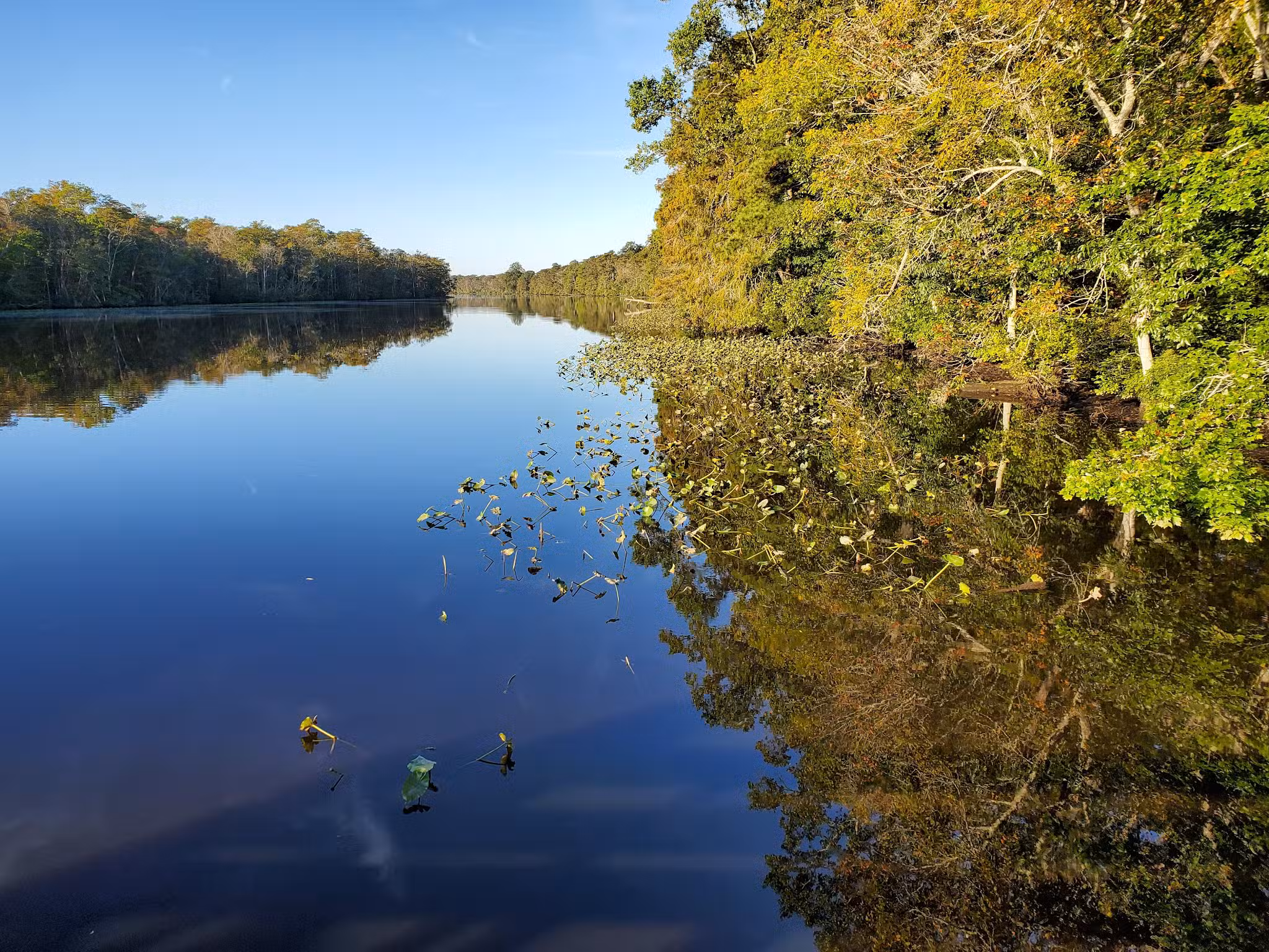 Pocomoke River State Park: Milburn Landing - Pocomoke City, MD