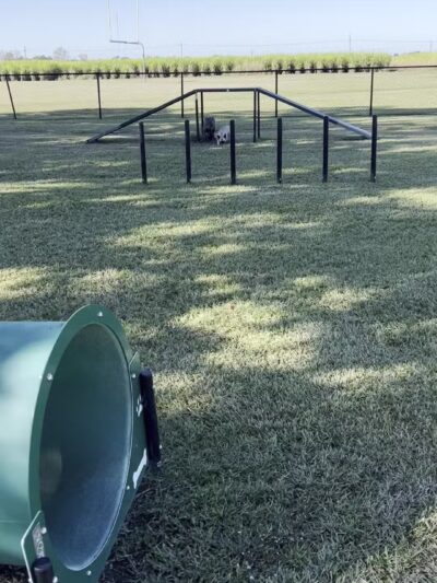 West Baton Rouge Dog Park - Port Allen, LA