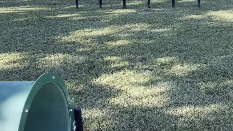 West Baton Rouge Dog Park - Port Allen, LA