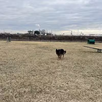 West Baton Rouge Dog Park - Port Allen, LA