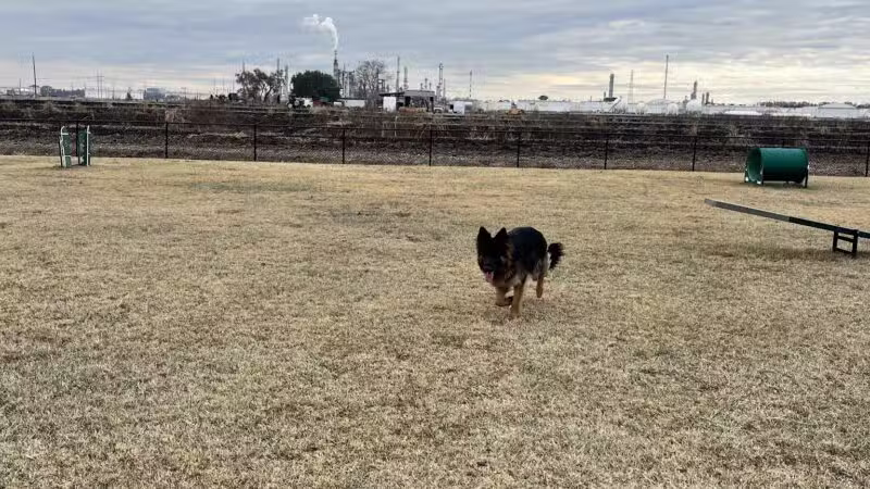 West Baton Rouge Dog Park - Port Allen, LA