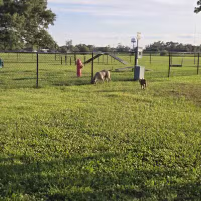 West Baton Rouge Dog Park - Port Allen, LA