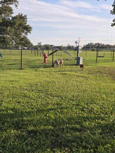 West Baton Rouge Dog Park - Port Allen, LA