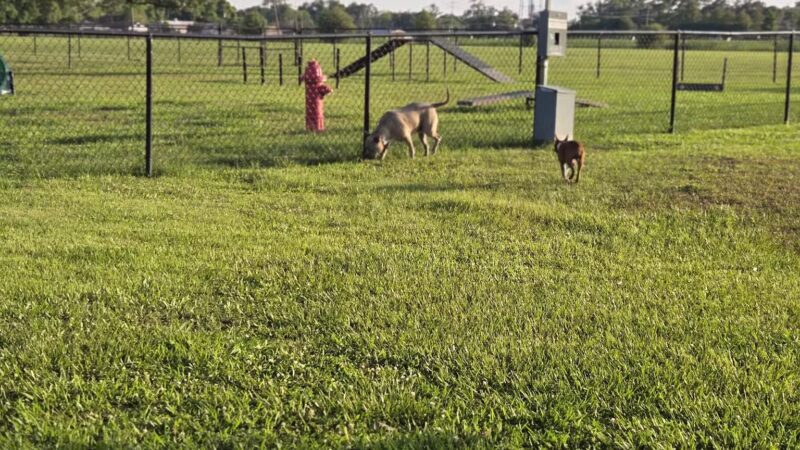 West Baton Rouge Dog Park - Port Allen, LA