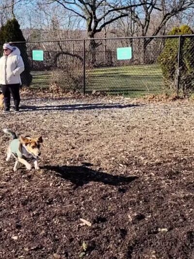 Abendroth Park - Port Chester, NY