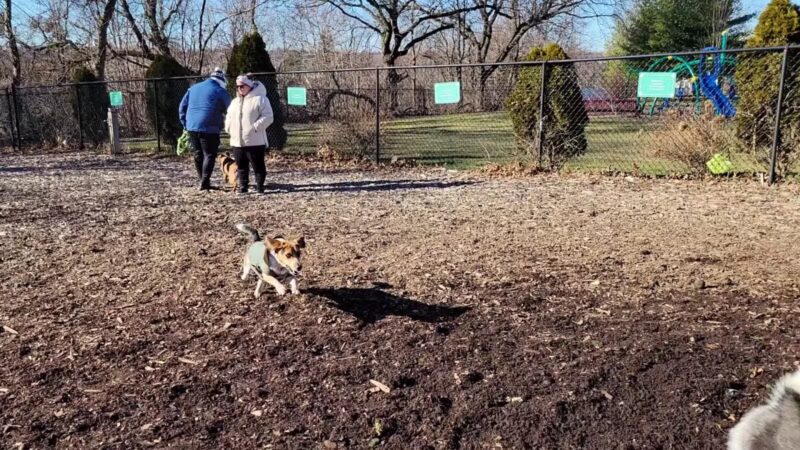 Abendroth Park - Port Chester, NY