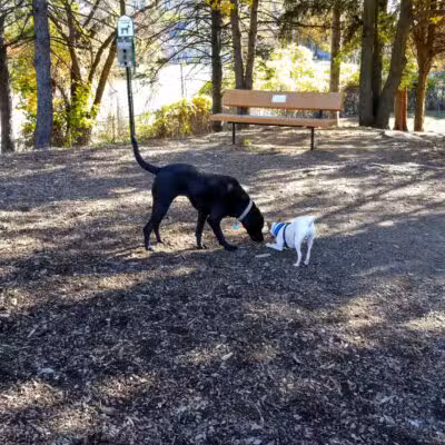 Abendroth Park - Port Chester, NY