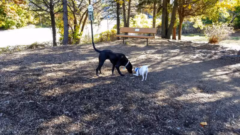 Abendroth Park - Port Chester, NY