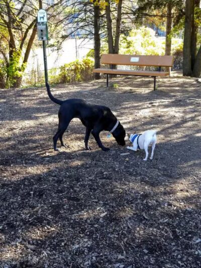 Abendroth Park - Port Chester, NY