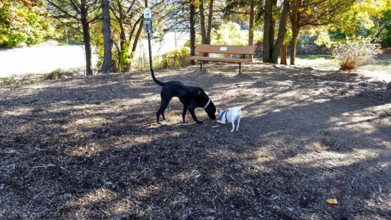 Abendroth Park - Port Chester, NY