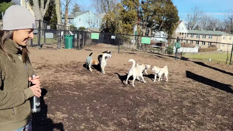 Abendroth Park - Port Chester, NY