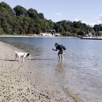 Port Jefferson Dog Beach - Port Jefferson, NY