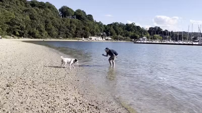 Port Jefferson Dog Beach - Port Jefferson, NY