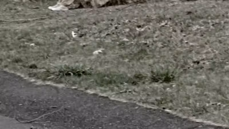 Setauket Greenway Trail Head - Port Jefferson Station, NY