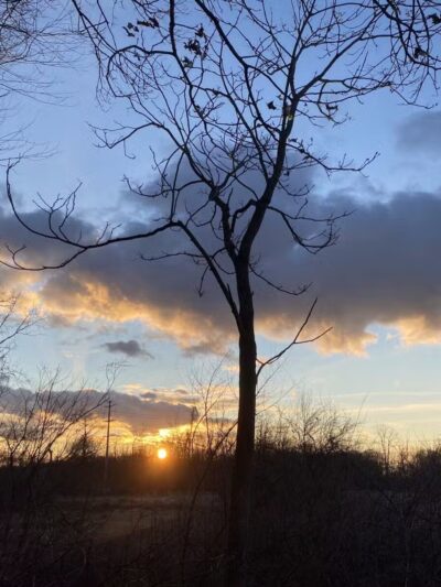 Setauket-Port Jefferson Station Greenway Trail - Port Jefferson Station, NY