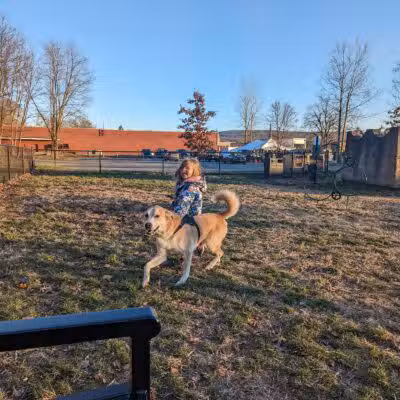 Port Jervis Dog Yard - Port Jervis, NY
