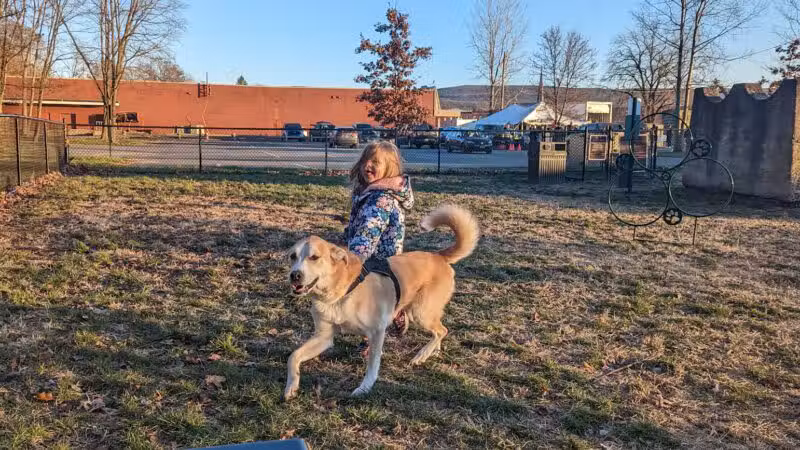 Port Jervis Dog Yard - Port Jervis, NY