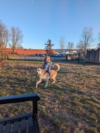 Port Jervis Dog Yard - Port Jervis, NY