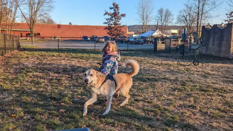 Port Jervis Dog Yard - Port Jervis, NY