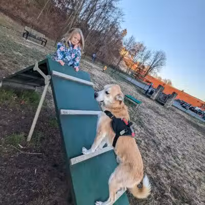 Port Jervis Dog Yard - Port Jervis, NY