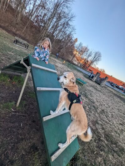 Port Jervis Dog Yard - Port Jervis, NY