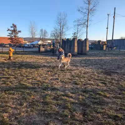 Port Jervis Dog Yard - Port Jervis, NY