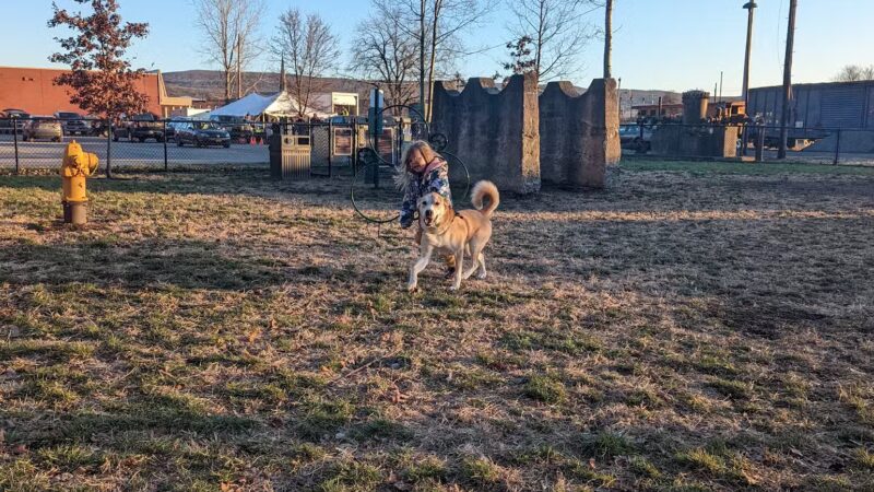 Port Jervis Dog Yard - Port Jervis, NY