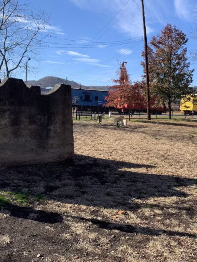 Port Jervis Dog Yard - Port Jervis, NY