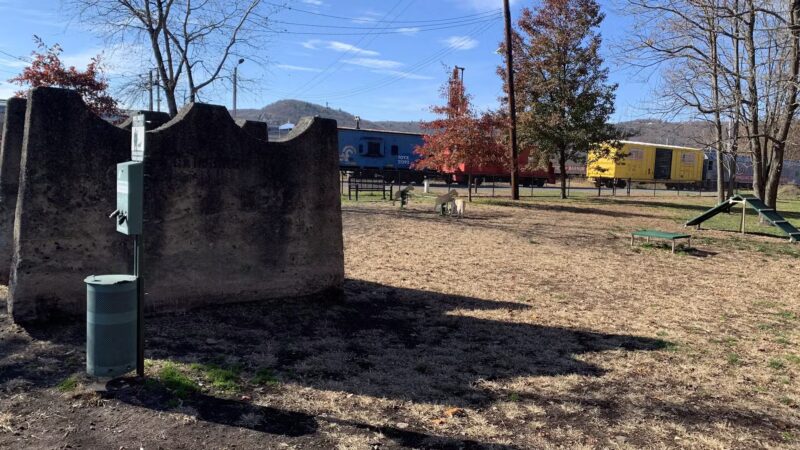 Port Jervis Dog Yard - Port Jervis, NY