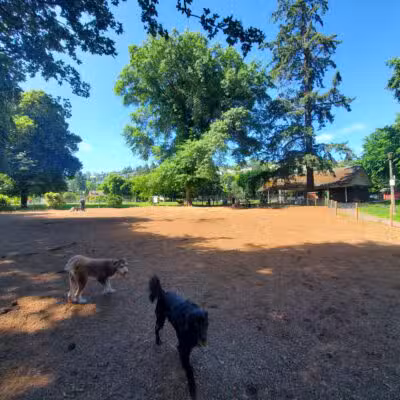 Wallace Dog Park - Portland, OR