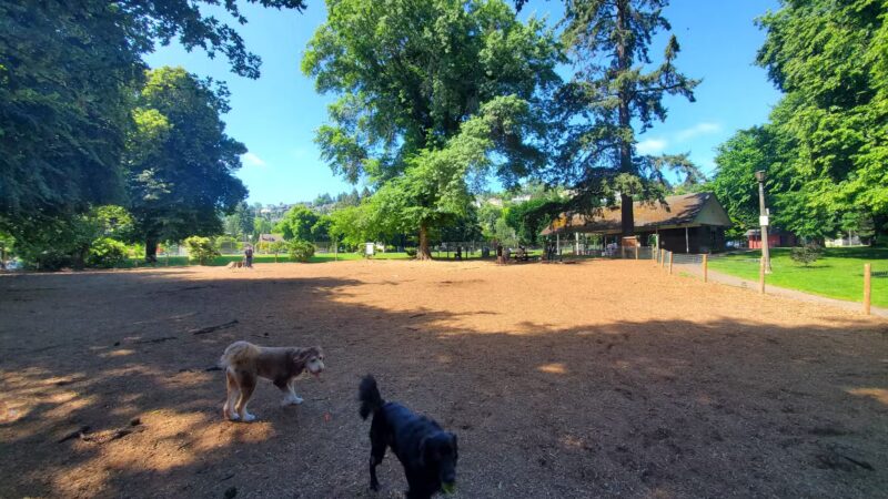 Wallace Dog Park - Portland, OR