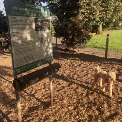 Wallace Dog Park - Portland, OR