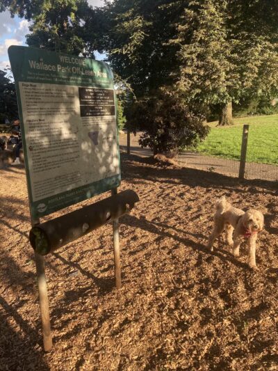 Wallace Dog Park - Portland, OR